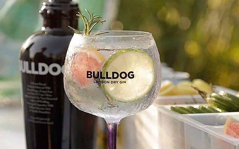 Aprenda a fazer 10 drinks com Gin Bulldog